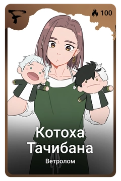 Коллекционная карточка
