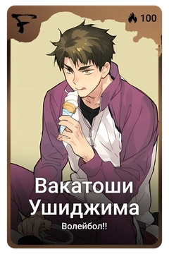 Коллекционная карточка