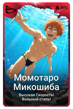 Коллекционная карточка
