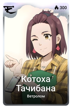 Коллекционная карточка