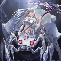 Arachna's Embrace