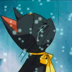 lkq