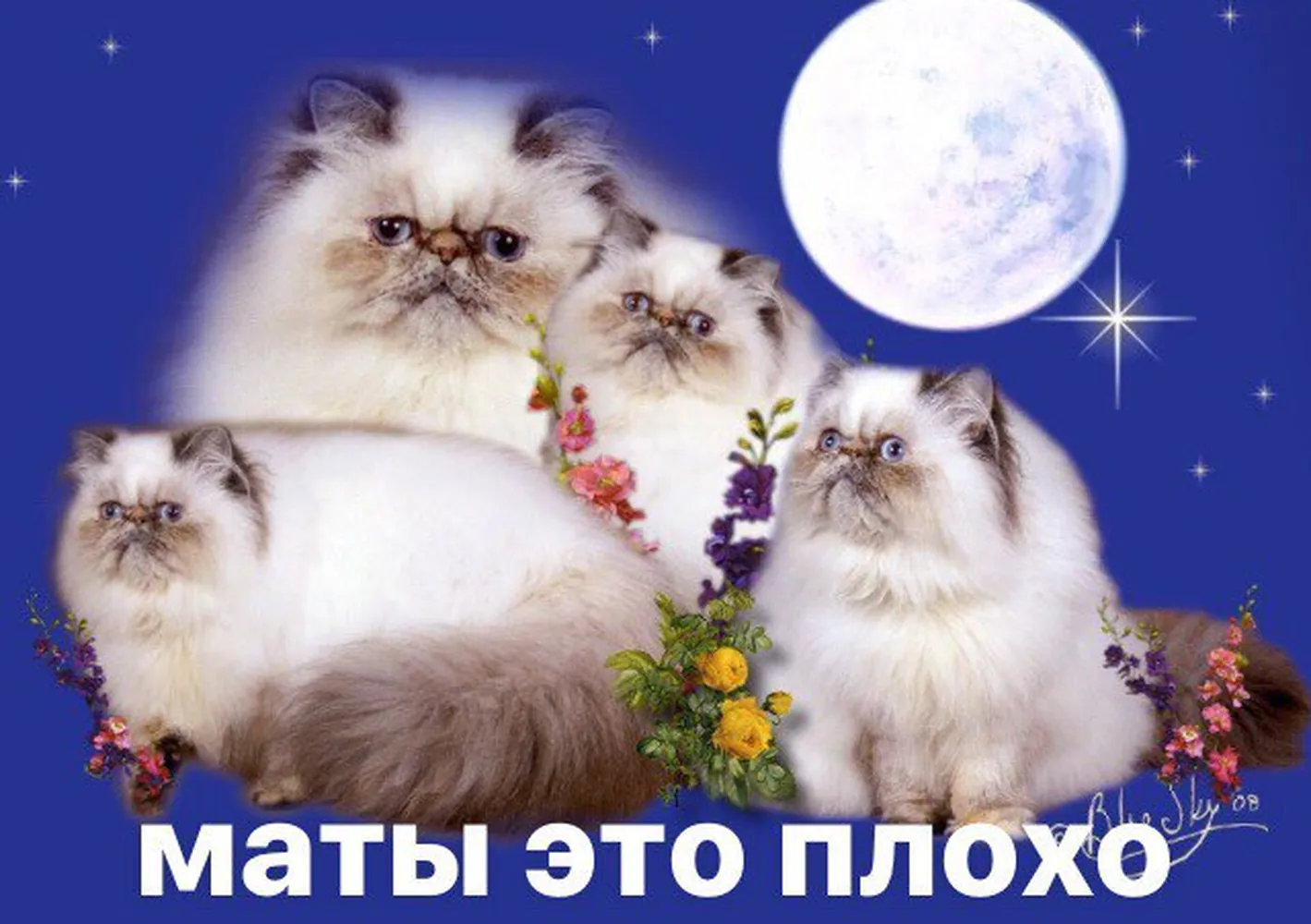 изображение поста