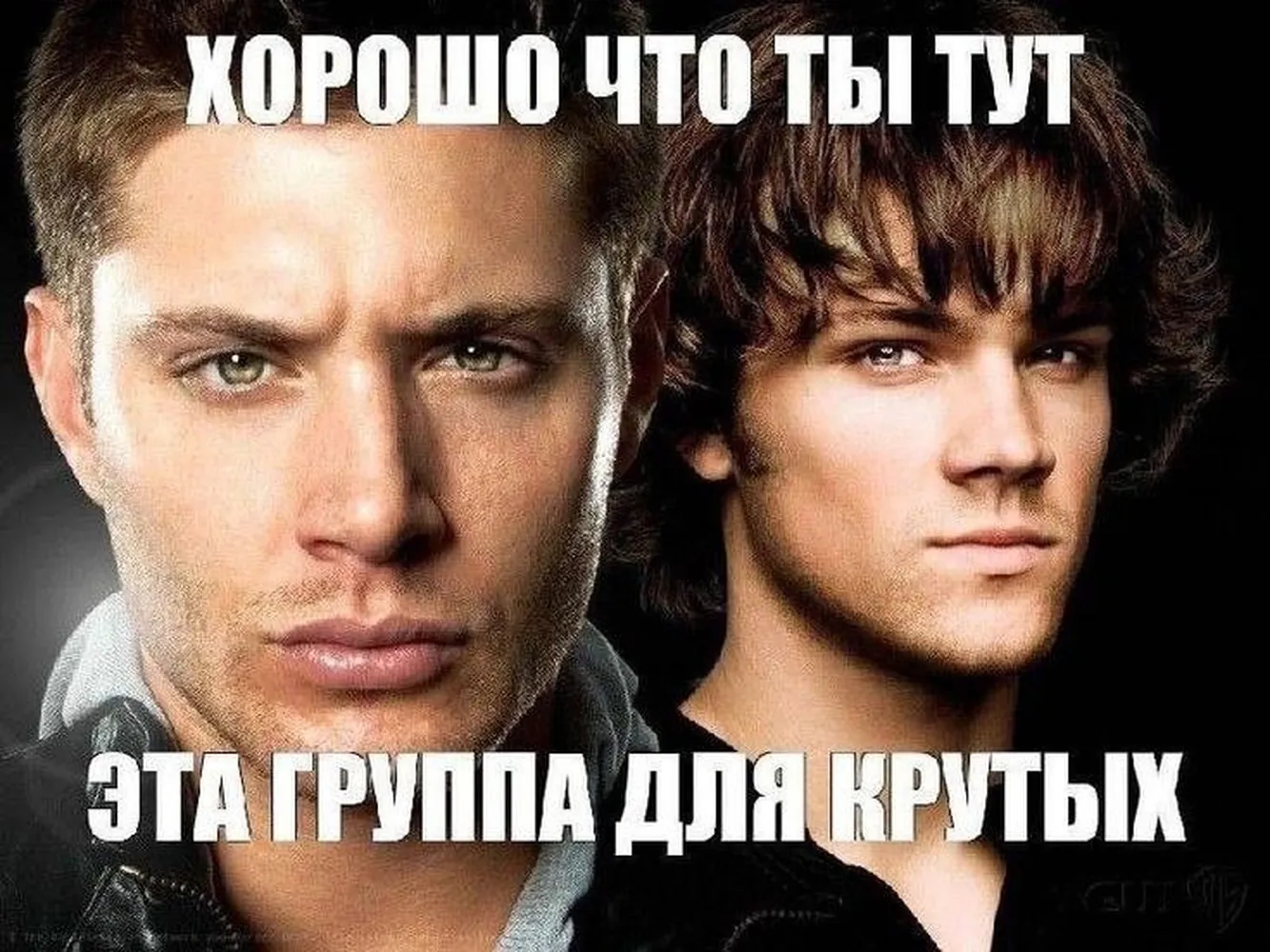 изображение поста