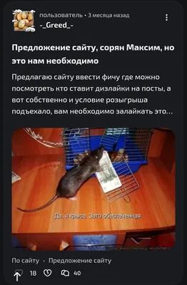 изображение поста