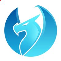 Sleeping Dragons Team (SDT)