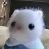 Аватар паблишера aesungg