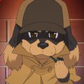 Аватар паблишера Air_doG