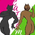 Аватар паблишера Cateam