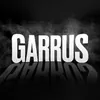 Аватар паблишера Garrus
