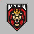 Аватар паблишера Imperial Team