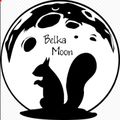 Аватар паблишера BelkaMoon(Ириска соло)