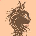 Lynx