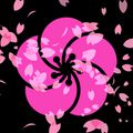 Аватар паблишера Miko Team