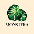 Аватар паблишера MONSTERA