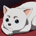 Аватар паблишера MWAM.Sadaharu