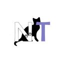 Аватар паблишера Nino Translate