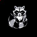 Аватар паблишера Raccoon family