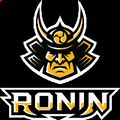 Аватар паблишера Ronin