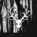 Аватар паблишера Revenant