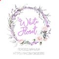 Аватар паблишера Team WhiteFloret 2
