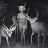 Аватар паблишера Wendigo
