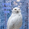 Аватар паблишера White Owls Time