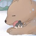 Аватар паблишера Winter Bear'