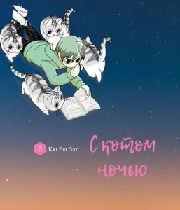 С котом ночью
