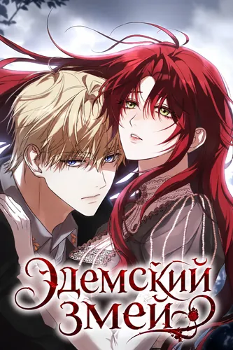 Обои