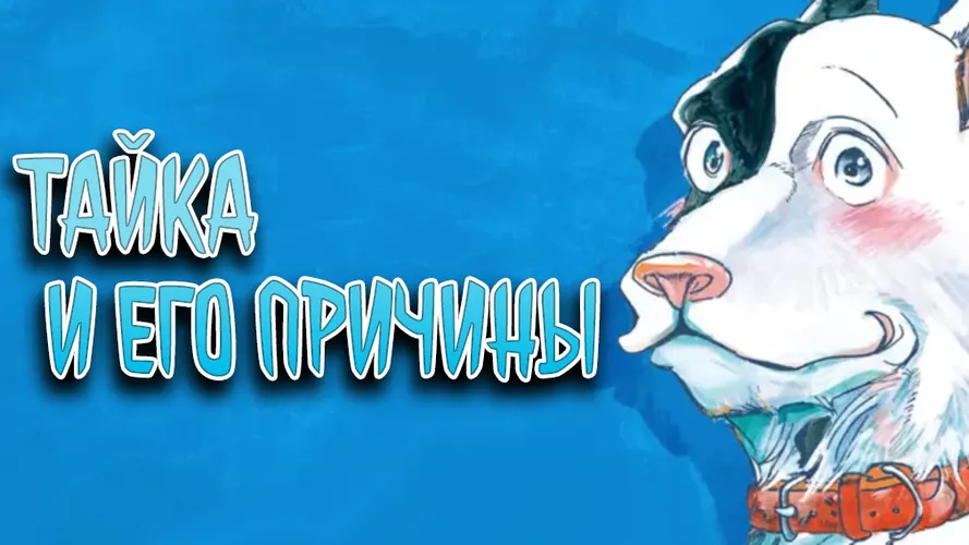 Обои