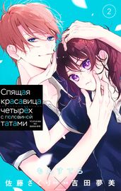 Спящая красавица четырёх с половиной татами