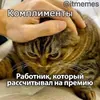 Pasha69586