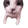 nqrse