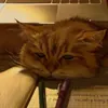 Редь