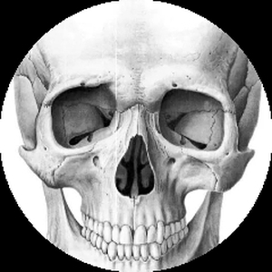 Ae