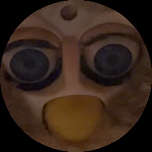vanvanchez