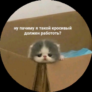 Иван-XоX