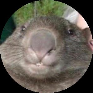 1DE