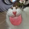 Чупа-Чупа
