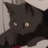POKO338