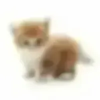 God_Dog
