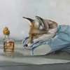 renard_liss