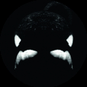 BlackFish