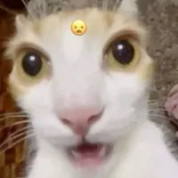dowksjwn