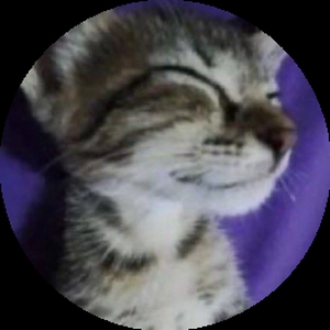 sweet-kitty