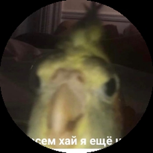 Bugi1man