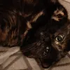 efimova_08_99