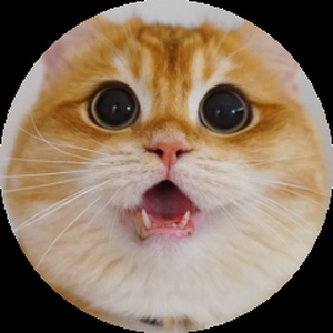 Котоняшка-Мурчащий