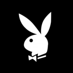 Black_Rabbit